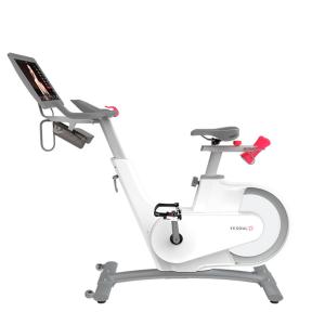 Купить Велотренажер Yesoul BV1-W PLUS в Ивделе 